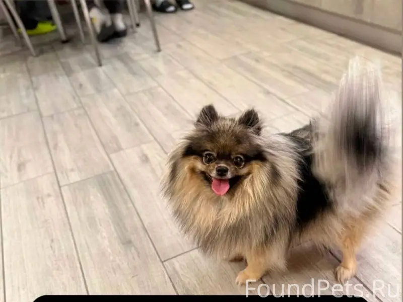 Ангарск 26.01.2026 в 13...