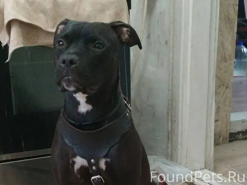 Добрый вечер Черемховцы помоги...