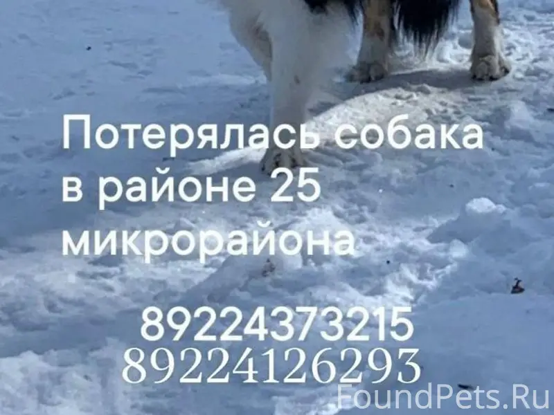 26 января, в 12.30, во...