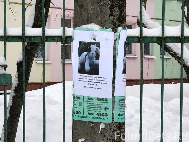 Пропала собака