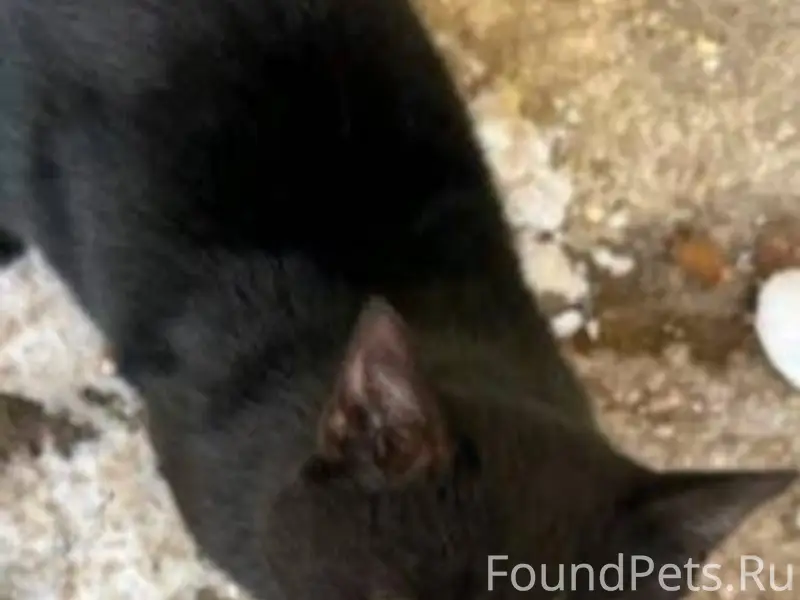 ВНИМАНИЕ(!) а/г Колодищи, г. М...