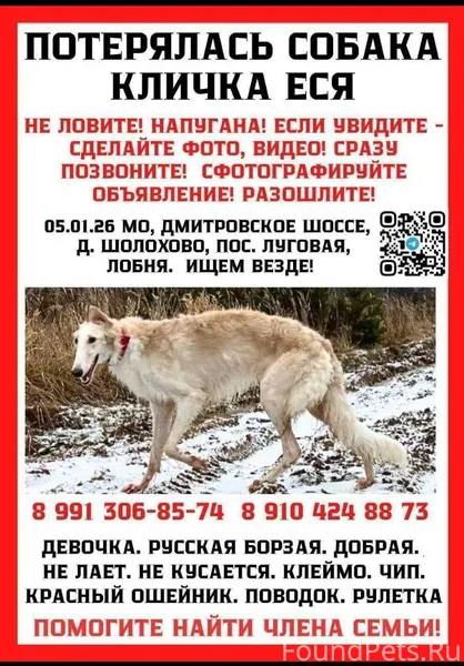 🆘 ВНИМАНИЕ, ЖИТЕЛИ ДРУГИХ ГОРО...