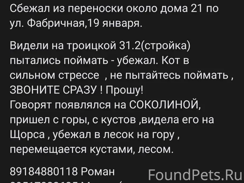 Пропал Кот! Адлерский район По...