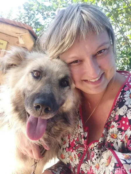 #Калужская_область Пропала соб...