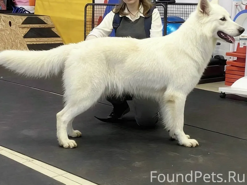 Есть в нашем доме одна интерес...