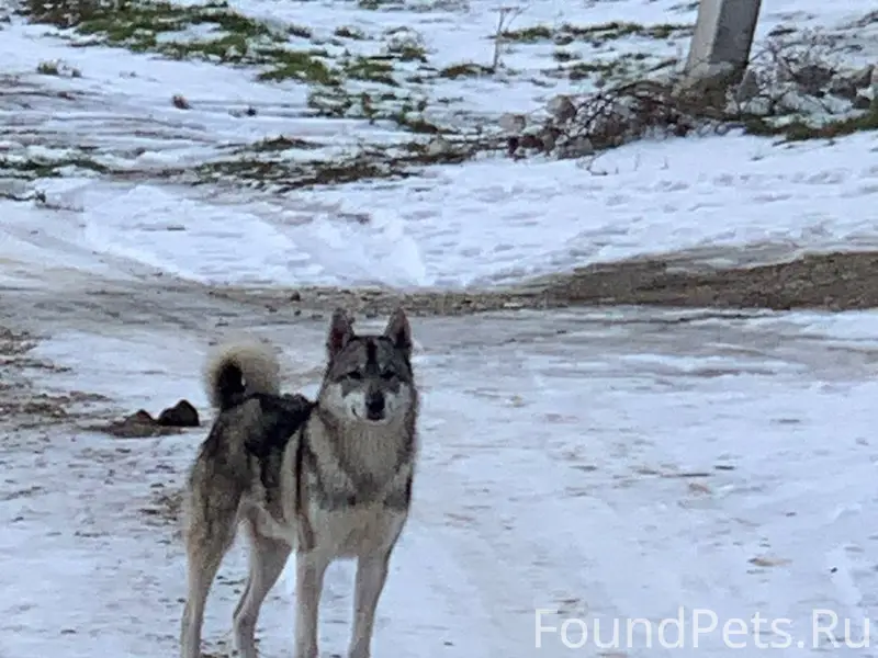 Четвертый день в пгт. Коктебел...