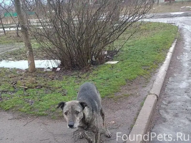 ДНР,Снежное.У нас в городе...