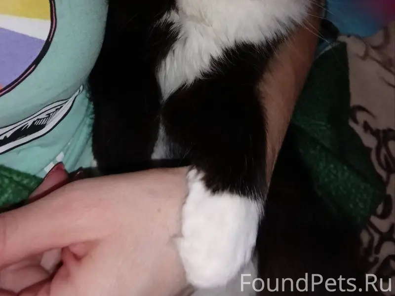 ВНИМАНИЕ!!!Помогите пожалуйста...