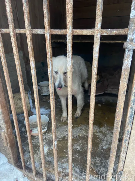 ВАЖНОЕ ОБЪЯВЛЕНИЕ‼ ПЕРЕДЕРЖКА ...