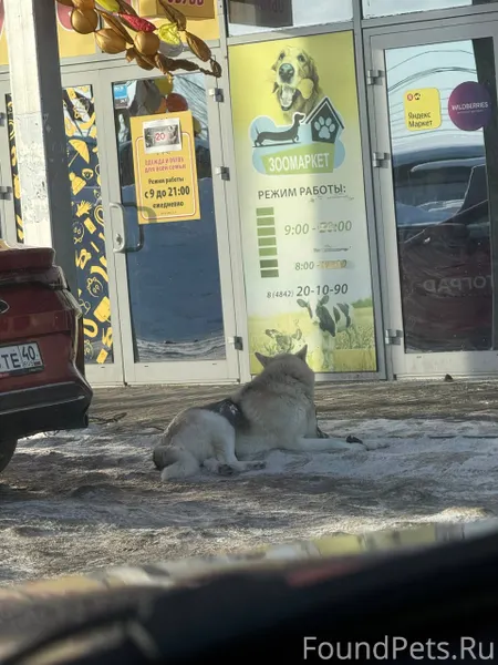 #Калуга #Калужская_область На ...