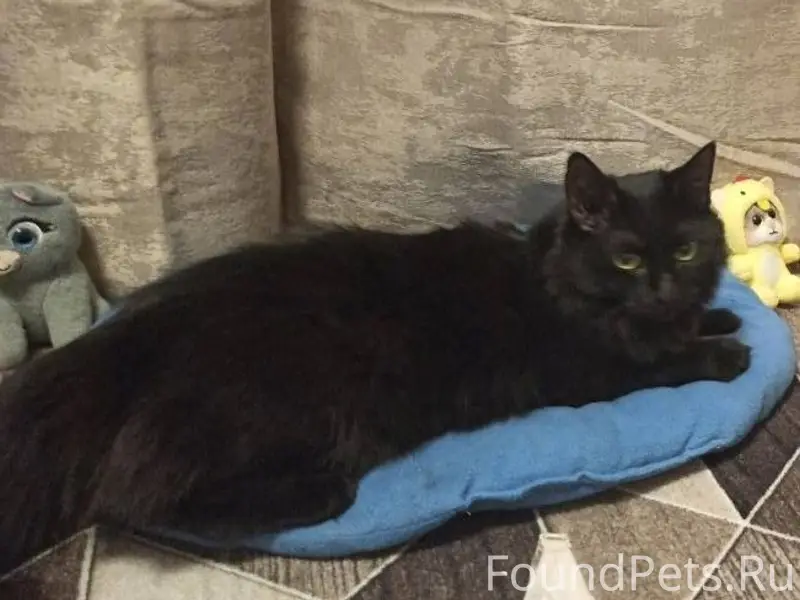 ⚠️⚠️⚠️⚠️⚠️⚠️⚠️🆘🆘🆘🆘🆘 Друзья, ну...