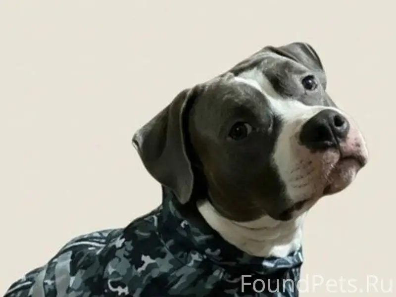 ПОИСКИ ПРОДОЛЖАЮТСЯ ⚠Пропала ...