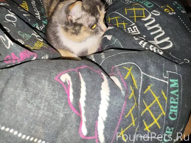 Улица 3,4,5 Березниковкая с...