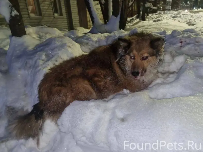 Добрый день. 30 минут назад на...