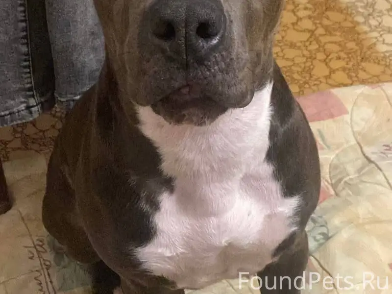 Третья и последняя попытка. Та...