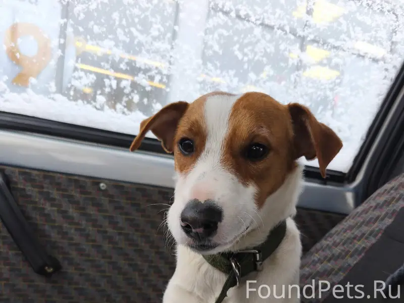 Пожалуйста, срочно!!!! Найдена...