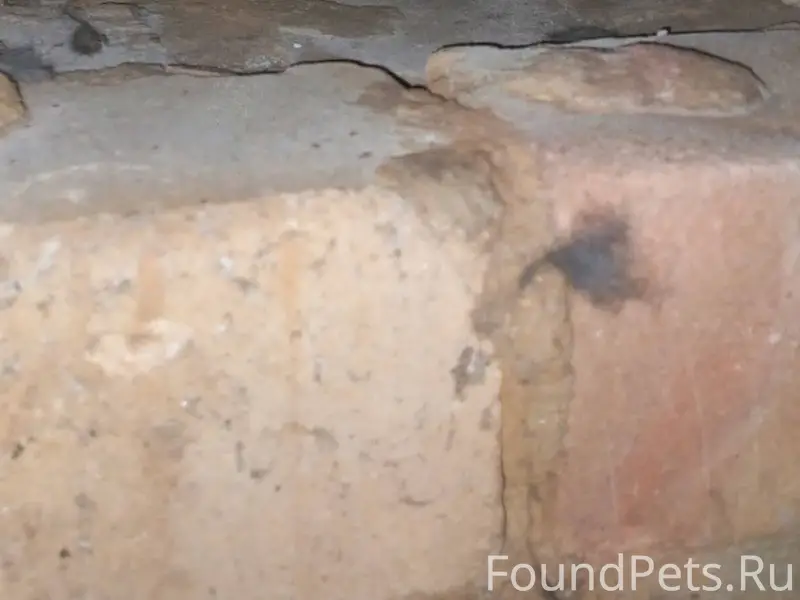 Волгоград! Счастливой истории ...