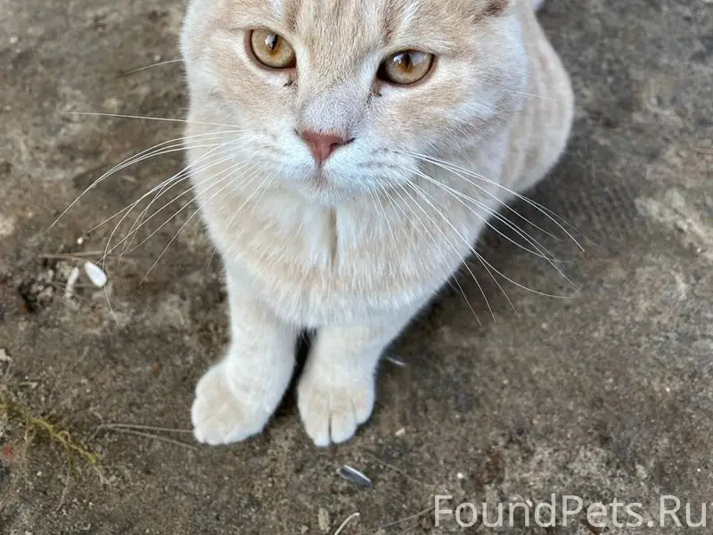 Доброго дня! В СНТ "Протва" пр...