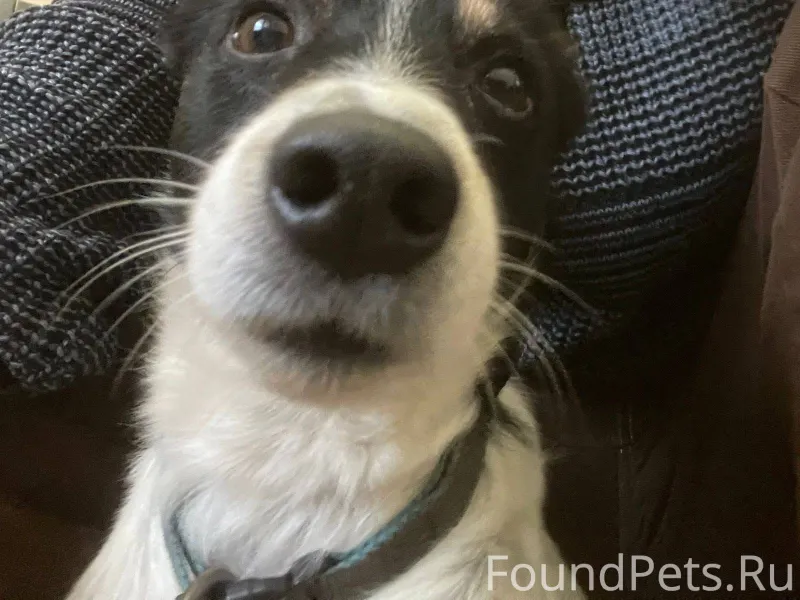 Краснотурьинск! Найден молодой...