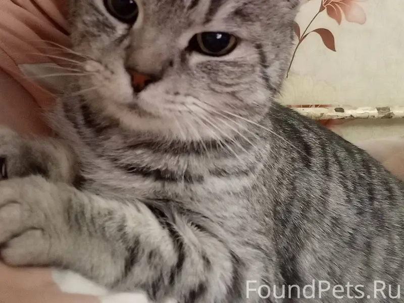 Доброго времени суток! В суббо...