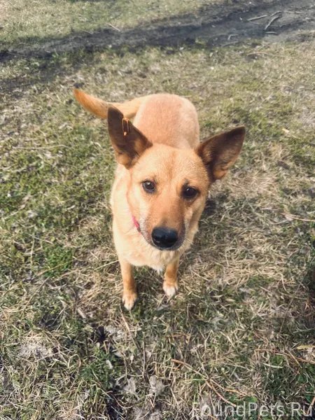 ‼Внимание 24 декабря 2025г. По...