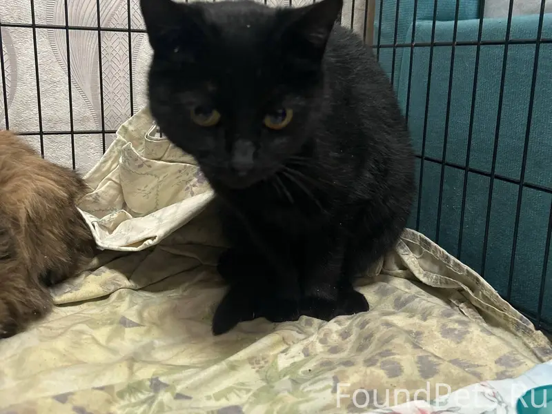 Срочно!!! Помогите найти пропа...