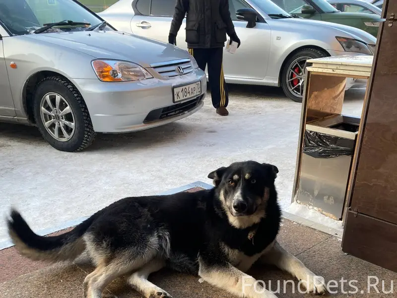 Здравствуйте! 27.01 возле ЦУМа...