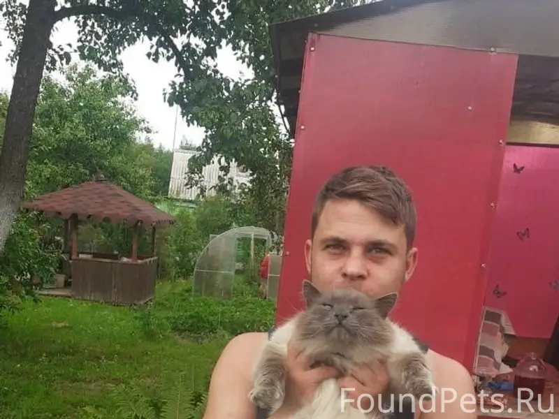 ПРОПАЛ КОТ!!!Пятый день,как пр...