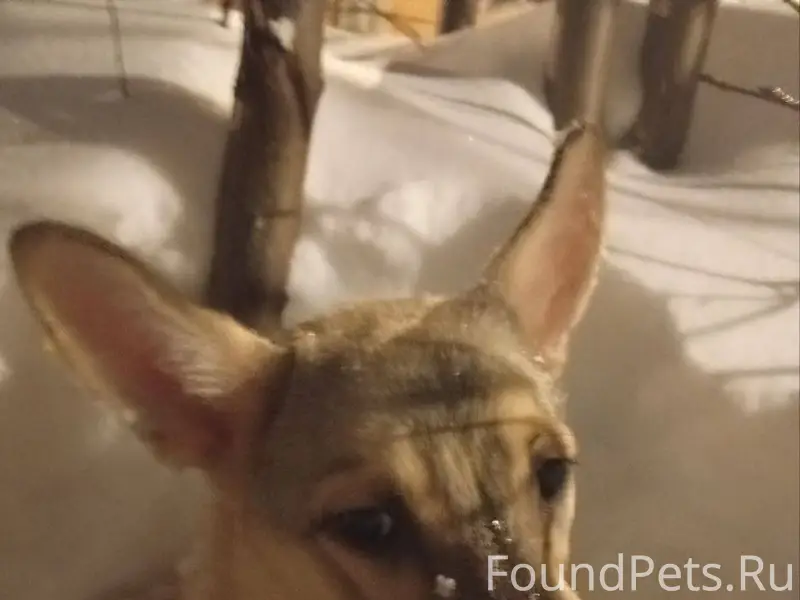 27 января в 20.30 коло...