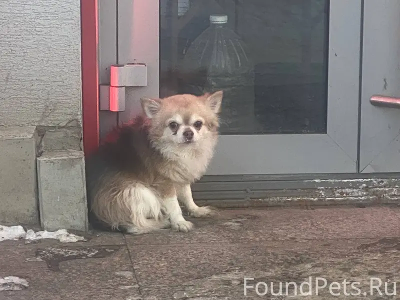 Вчера приехав в мастерскую уви...