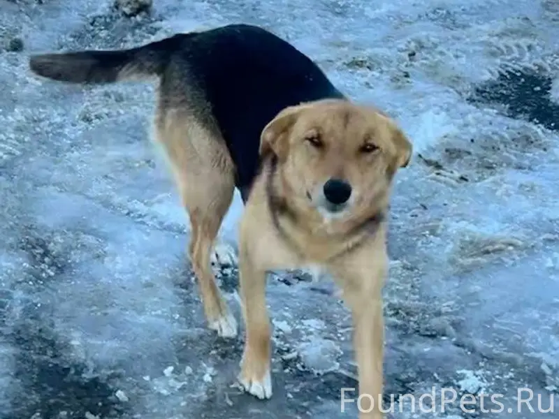 🆘 Срочно 🆘 Добрый день 🙏...