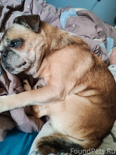 🌸 Сегодня моя жизнь стала намн...