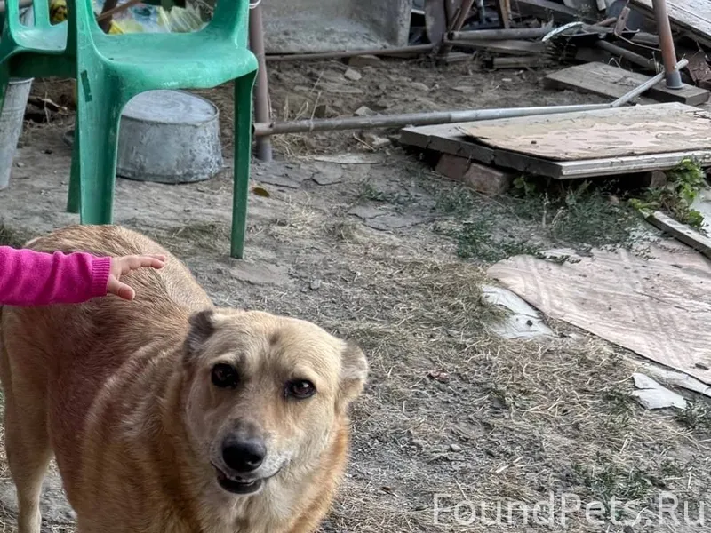 Добрый день. 25 января вечером...