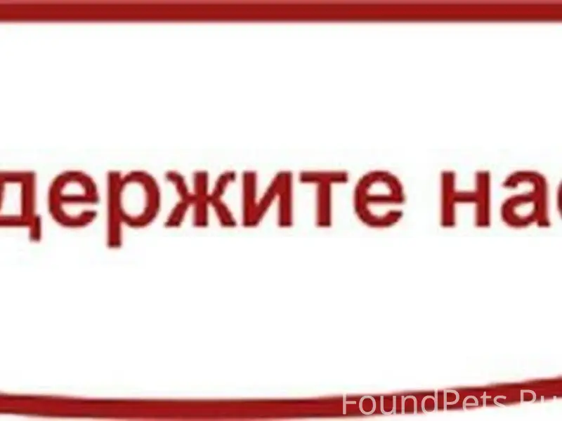 Моя любимая Прионежская не отп...