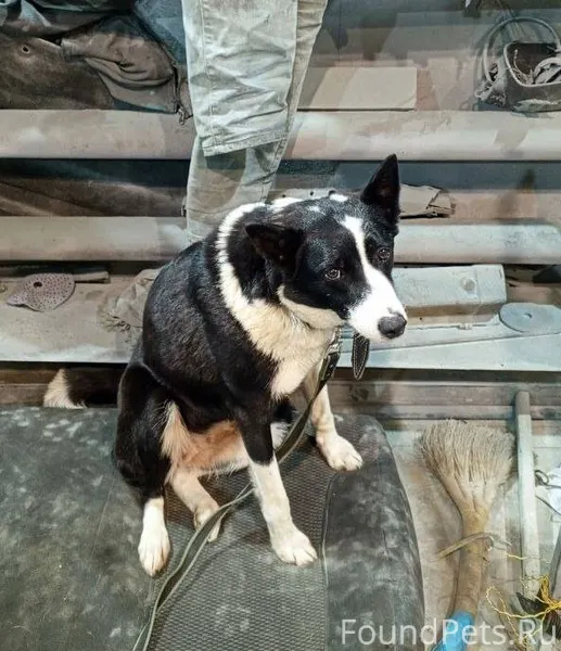 Сегодня примерно в 16:00 в...