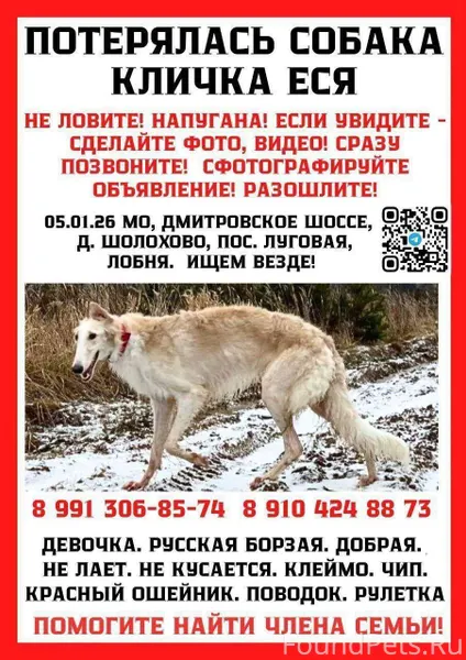 🆘 ВНИМАНИЕ, ЖИТЕЛИ ДРУГИХ ГОРО...