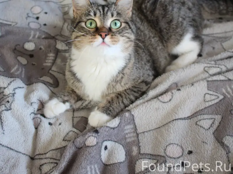 Хозяин найдись 🤞 ЛАЙК, РЕПОСТ ...