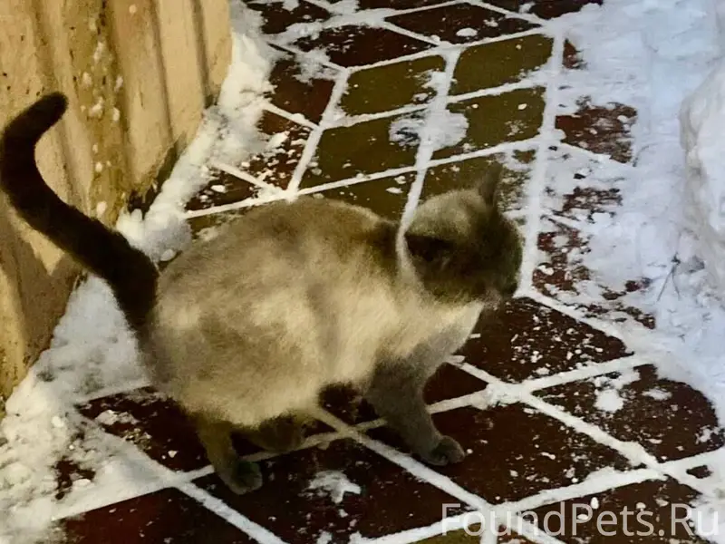 Ростов-на-Дону. 24.02 НАЙДЕН.....