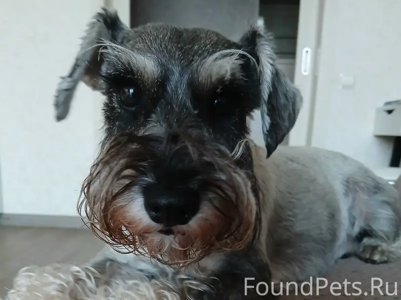 15 декабря во Владивостоке, в ...