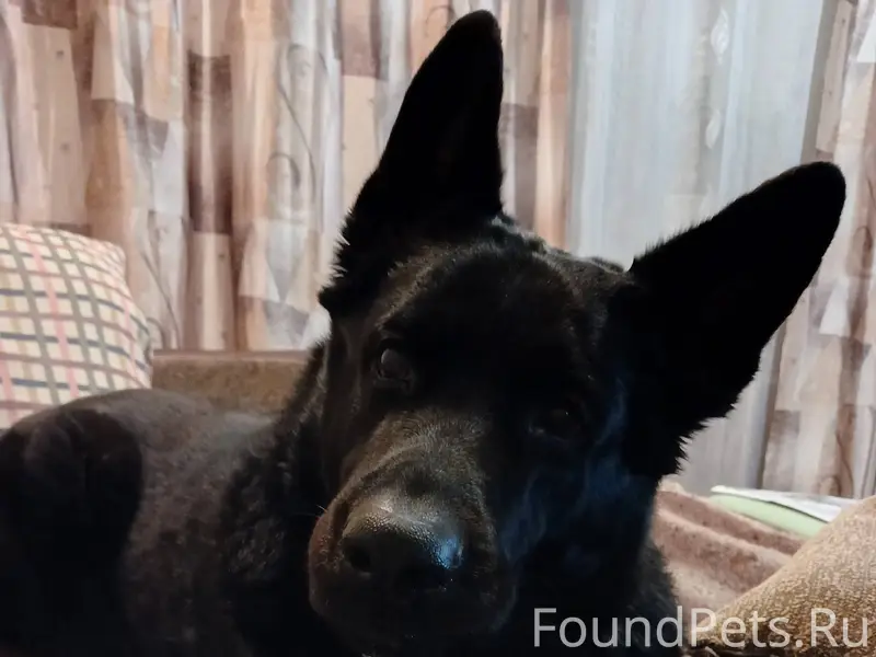 Сегодня утром 5.45 от дома...