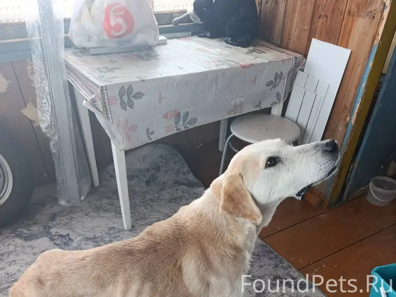 Всем добрый день, прибилась со...