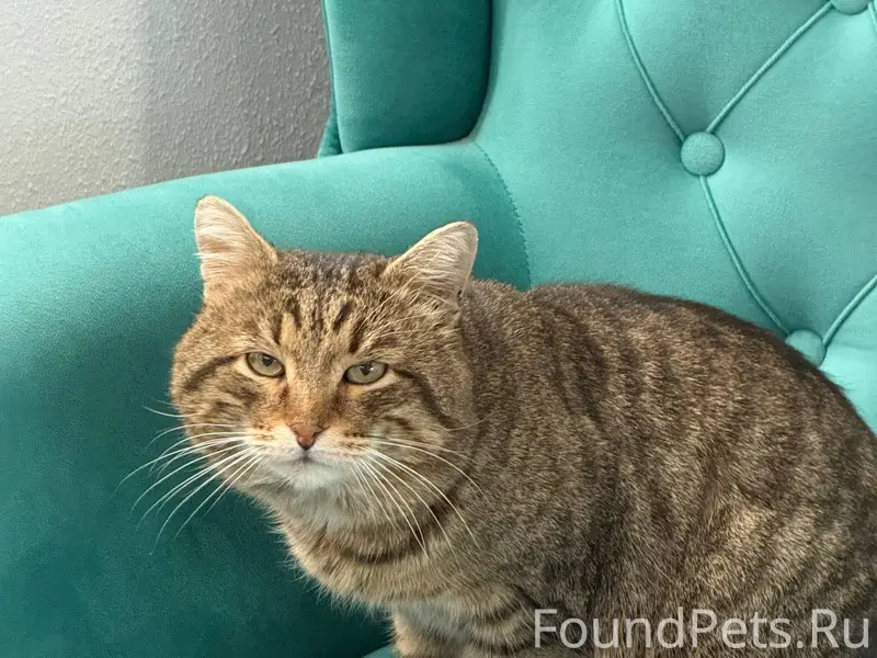 ❗️ХОЗЯИН НАЙДИСЬ❗️ Сегодня утр...