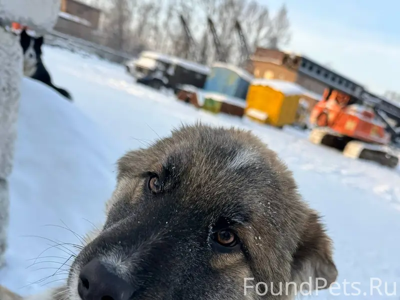 АНГАРСК ! 95 квартал Продолжаю...