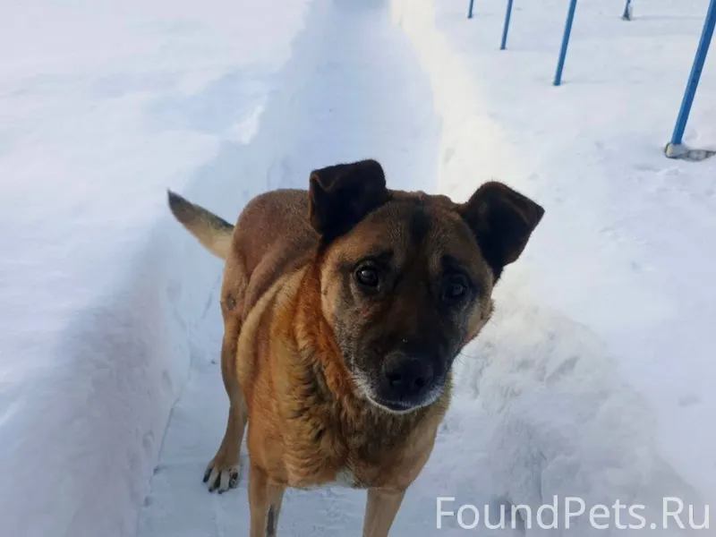 🆘🆘🆘В районе Вокзала , потеряв ...