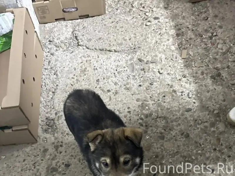 Сегодня на базу «Заря» , прибе...