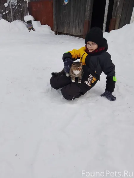 Друзья🙏у нас потерялся котик Б...