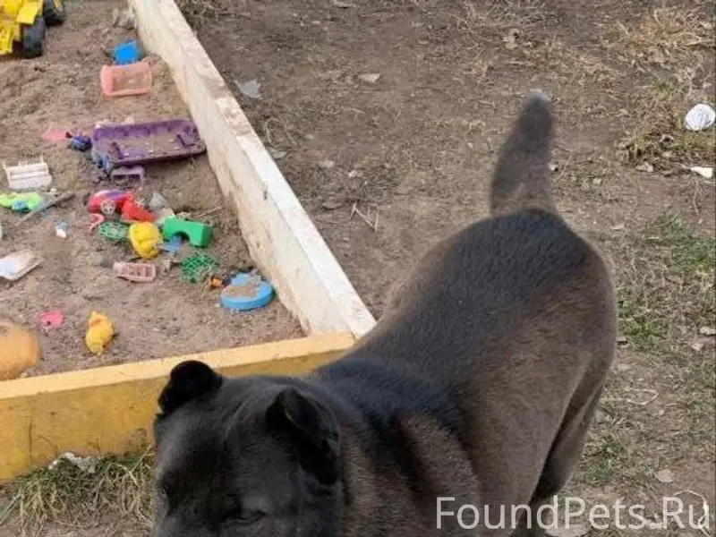 Помогите! присмотритесь! Потер...