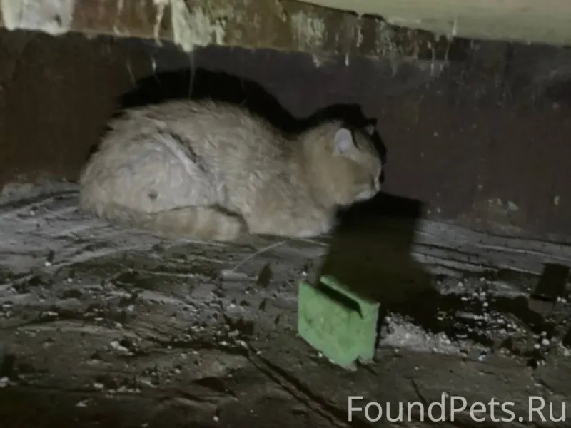 СРОЧНО 🚨 ЮГОРСК По улице завод...