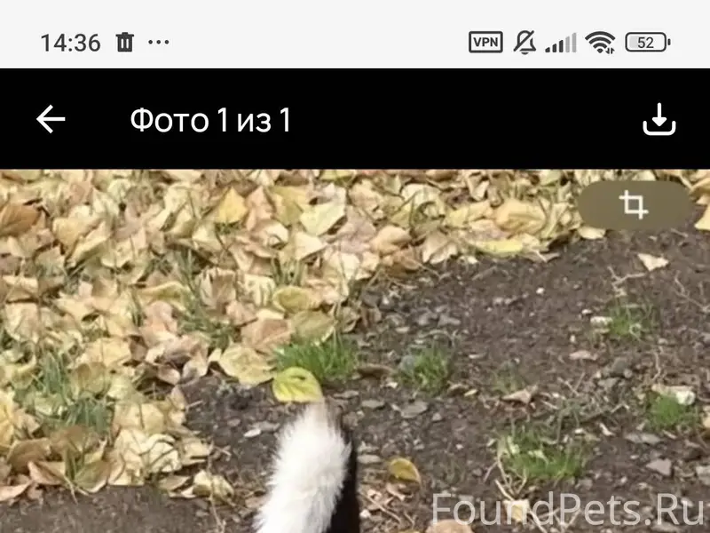 Оренбург , 23 мкр , В РАЙОНЕ Т...