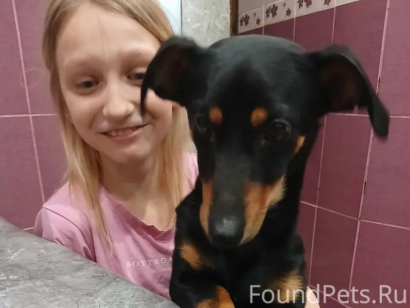 Краснооктябрьский район,в райо...